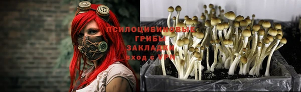 MESCALINE Остров