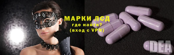 молекула духа Няндома