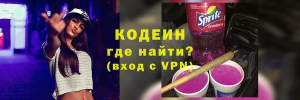 молекула духа Няндома