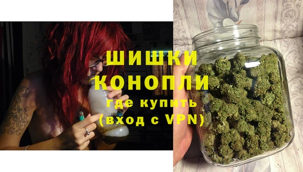 молекула духа Няндома