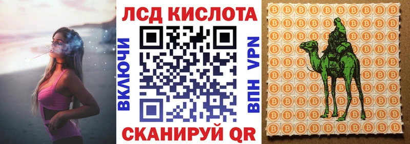 где найти   Сертолово  Марки 25I-NBOMe 1,8мг 