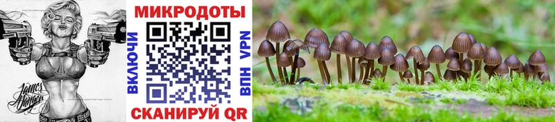 Галлюциногенные грибы MAGIC MUSHROOMS  Сертолово 