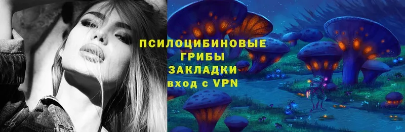 Псилоцибиновые грибы MAGIC MUSHROOMS  Сертолово 