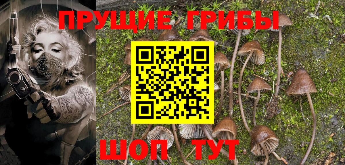 Галлюциногенные грибы Magic Shrooms  Псилоцибиновые грибы Magic Shrooms  где купить наркотик  Сертолово  Вход с VPN 